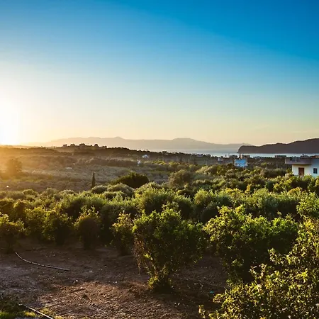 Nikola's Vineyard Agia (Chania, Crete)